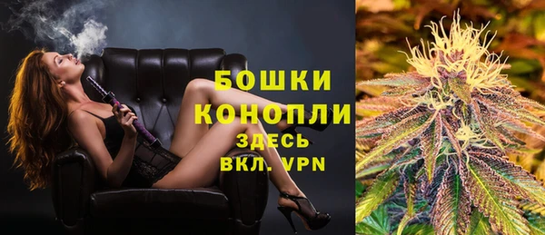 молекула духа Балахна