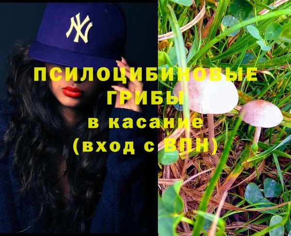 ГАЛЛЮЦИНОГЕННЫЕ ГРИБЫ Армянск