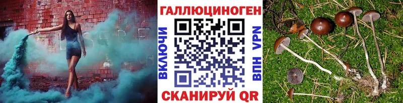 Псилоцибиновые грибы мицелий  продажа наркотиков  Сорочинск 
